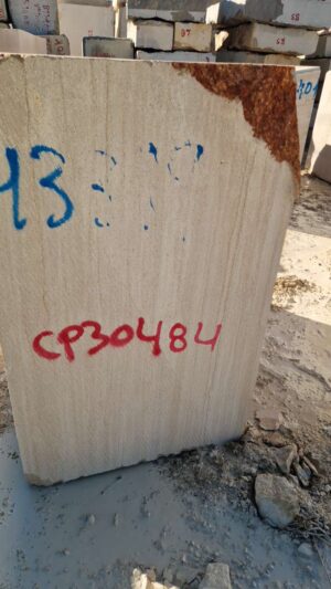 CP30484
